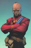 Cover to Issue #30 of WildCatsVol1 No cover enhancements